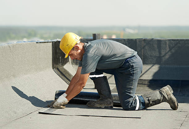 Best DIY Insulation Kits and Guidance in Oakland, MO