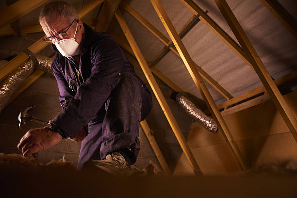 Types of Insulation We Offer in Oakland, MO